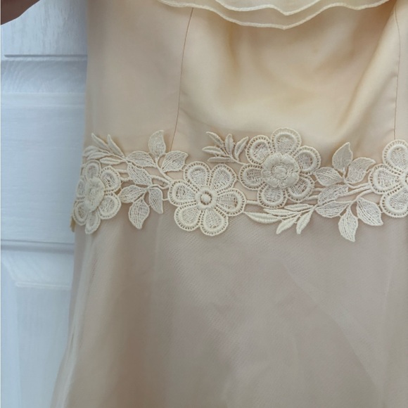 Vintage 1970s Prairie Wedding Gown – Organza Ruffles, Daisy Floral Appliqué - Picture 7 of 15